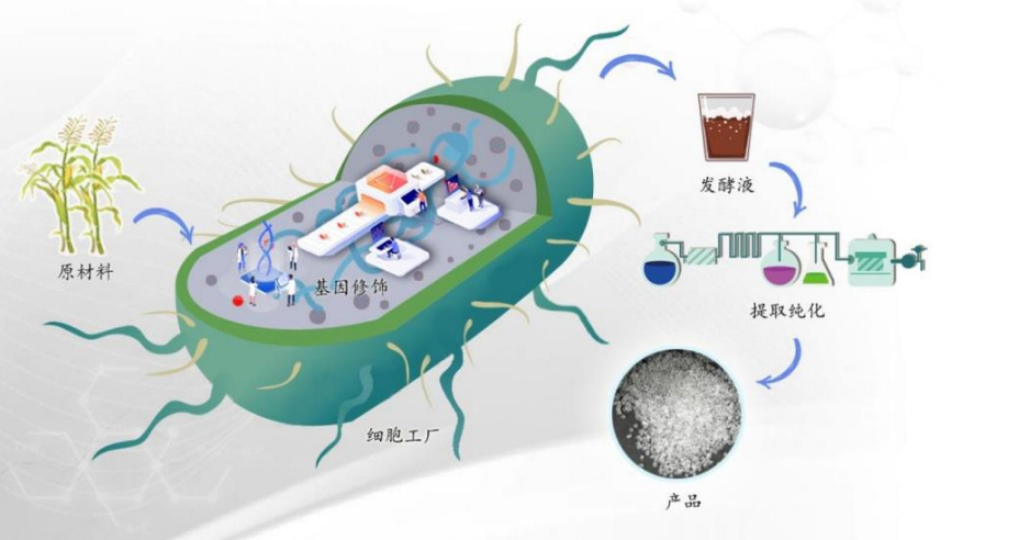 这家成立才1年的合成生物企业完成数千万元pre a轮融资!